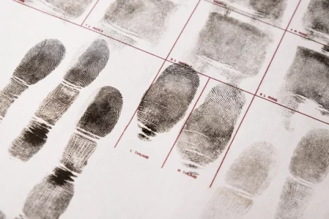 ABIS Para Investigación Criminal
