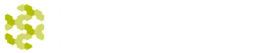 Voter Management Platform