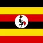Voter Management Platform