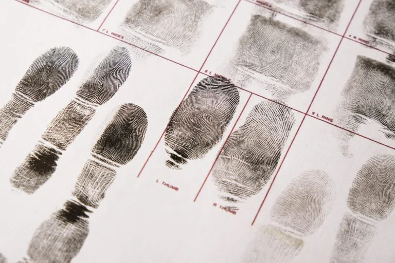 Criminal Justice & Law Enforcement