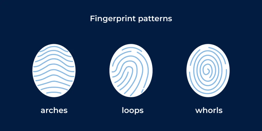 Fingerprint Identification Fingerprint Identification