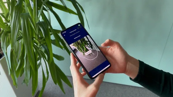 contactless palm verification