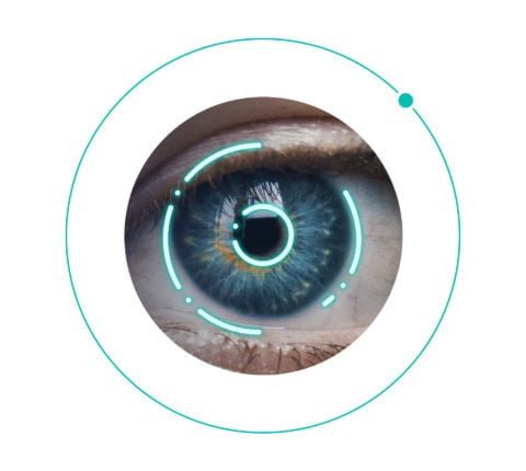 how-iris-recognition-works