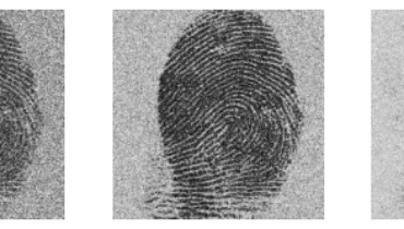 Synthetic Data May Be the Answer for Using AI in Biometrics
