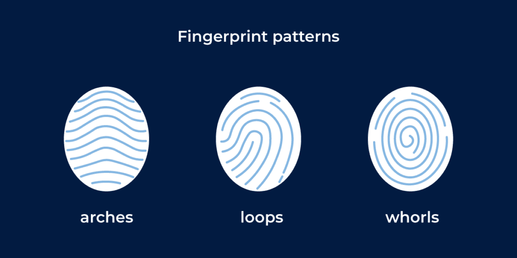 Fingerprint Identification