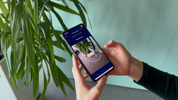 contactless palm verification