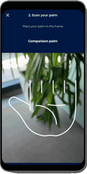 Palm Auto Capture