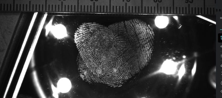 Criminal Justice & Law Enforcement