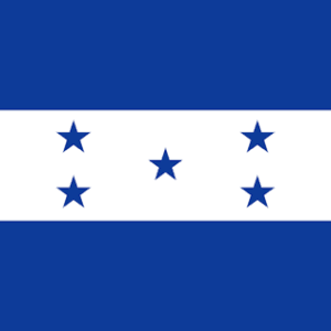 Border Control & Passenger Facilitation